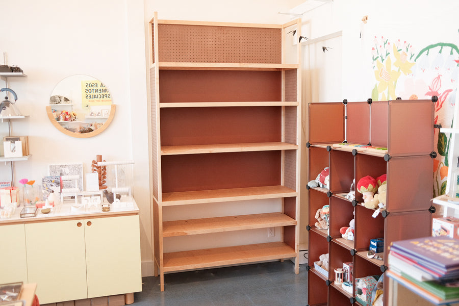 Kids Toy Display Shelf