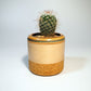 Cork planter