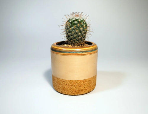 Cork planter