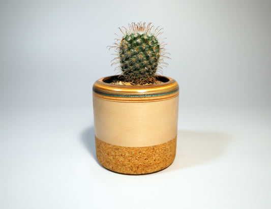 Cork planter